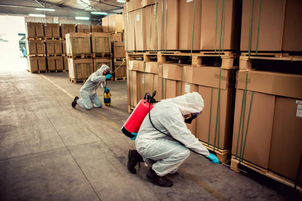 Best Bed Bug Extermination  in Atchison, KS