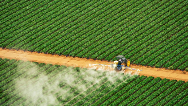 Best Mosquito Control Services  in Atchison, KS